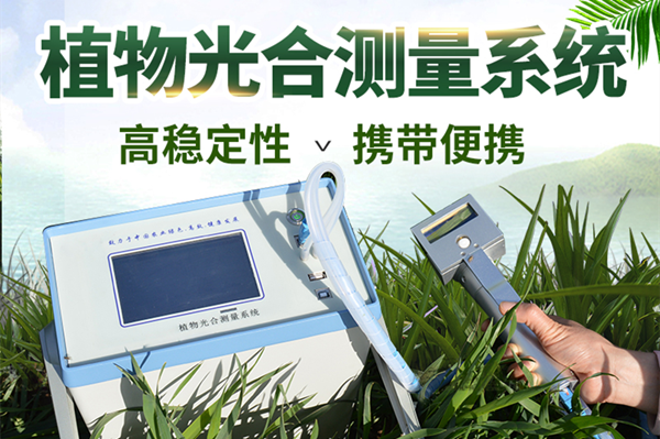  便攜式光合儀-光合作用測定儀
